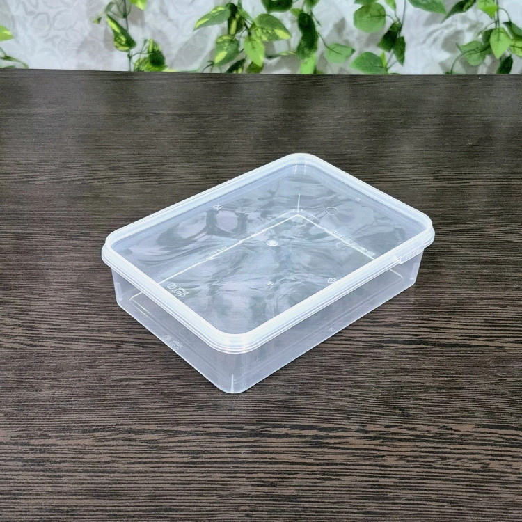 ظروف فریزری طب پلاستیک حجم ۶۷۵ میل ( پک ۱۰ عددی ) Tab Plastic Freezer Containers 675ml (10 pcs pack)
