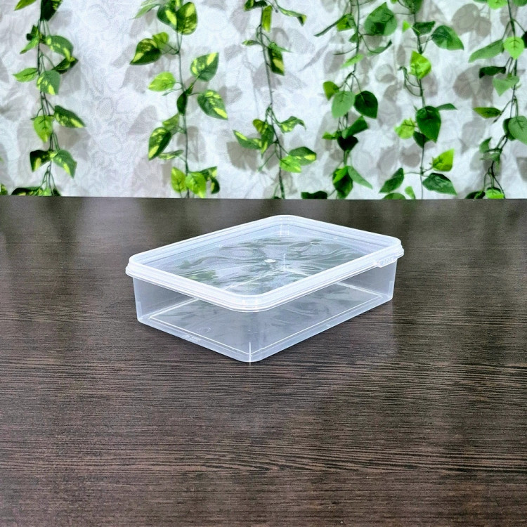 ظروف فریزری طب پلاستیک حجم ۶۷۵ میل ( پک ۱۰ عددی ) Tab Plastic Freezer Containers 675ml (10 pcs pack)