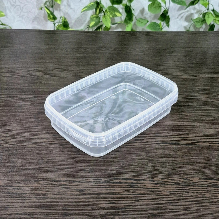 ظروف فریزری طب پلاستیک حجم ۷۰۰ میل (پک ۱۰ عددی) Tab Plastic Freezer Containers 700ml (10 pcs pack)