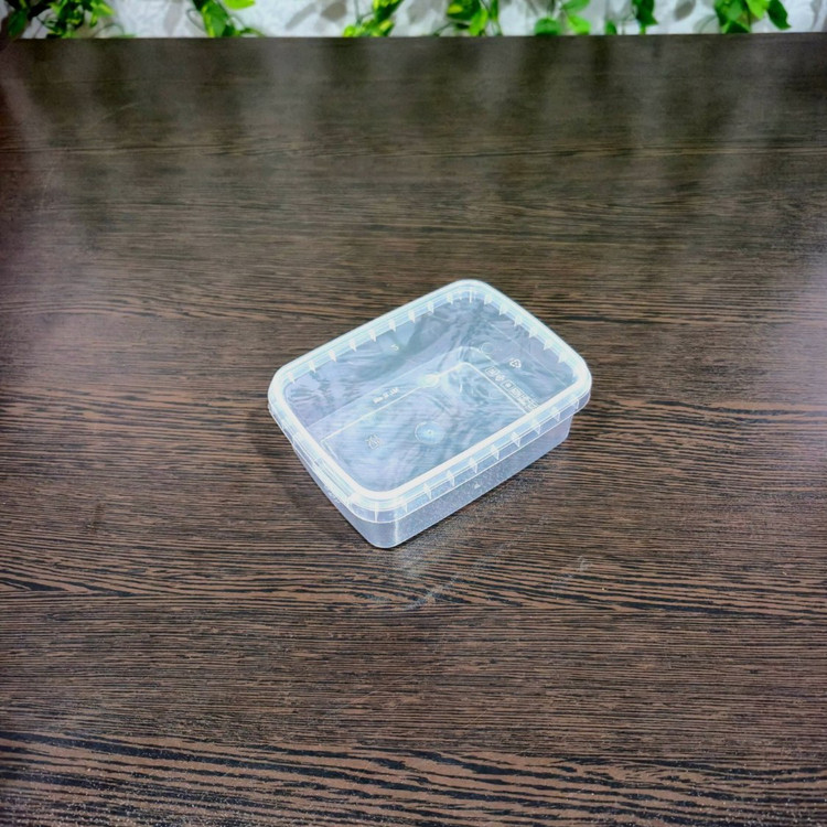 Tab Plastic Freezer Container 400ml (10 pcs pack) ظروف فریزری طب پلاستیک حجم ۴۰۰ میل (پک ۱۰ عددی)